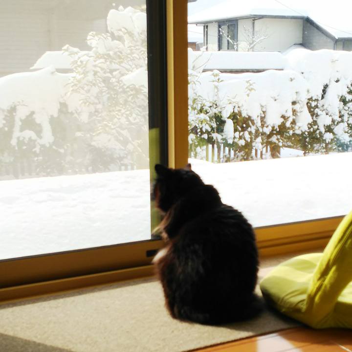 666ca11c 2963 4cb2 9cd7 5031a2345ca0 1518399322276