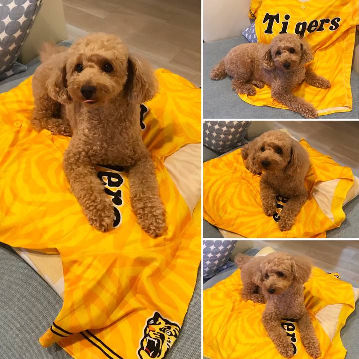 666cb075 ca74 44ef 9e1c 85f274688fef 1563542522058