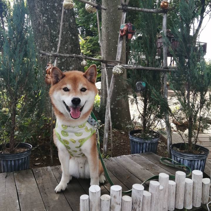 666cc4d8 2492 4d42 92d0 f0415cb349e3 1685199756733