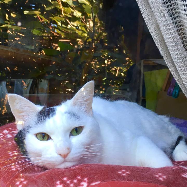 666cfeff 8bd6 4eee 9ed6 c88cbec947f1 1569813198658