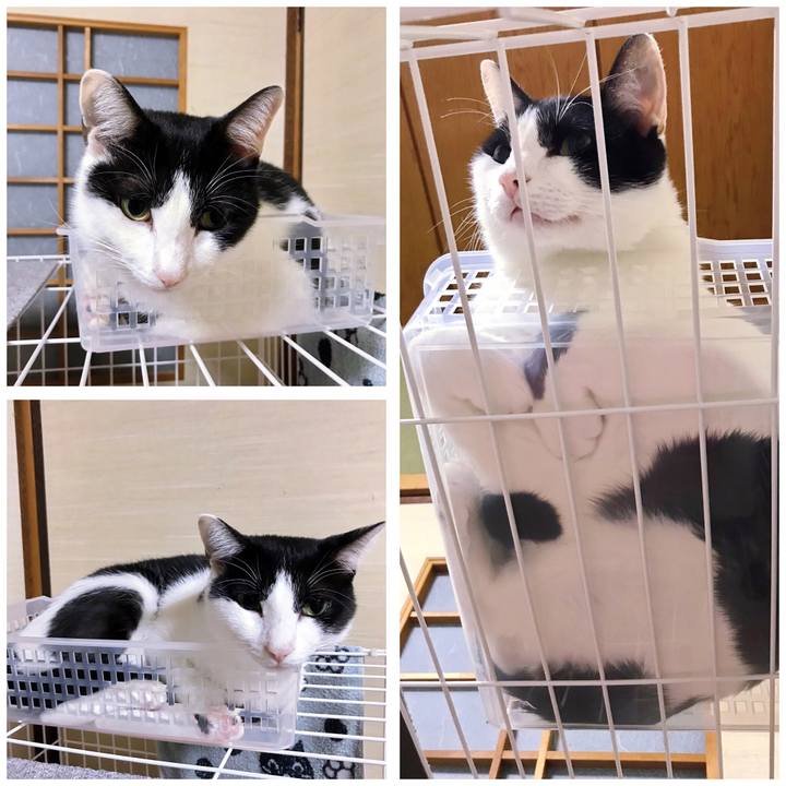 666d689a 1165 469d 9210 dc12c7b2d5da 1508637844887