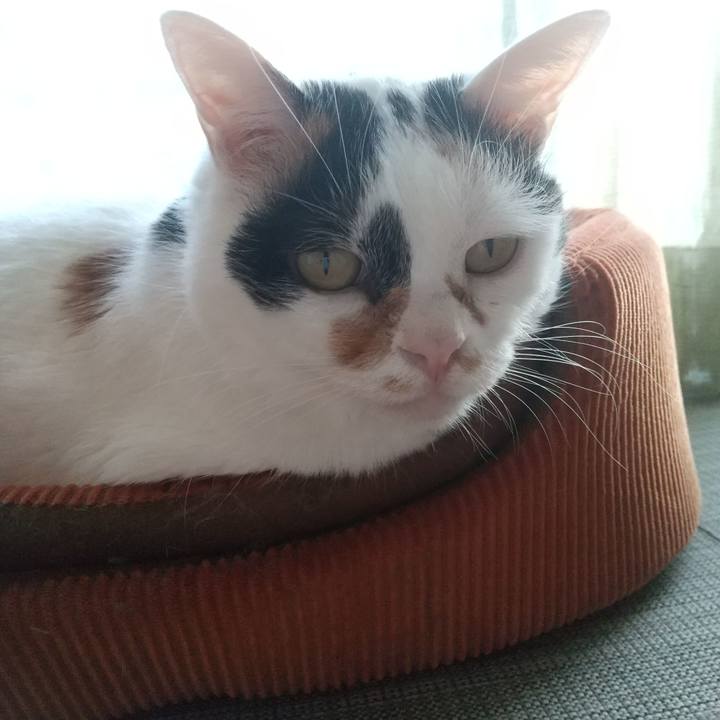 666d830a a514 45b7 a742 27eec11ad3e2 1635491031288