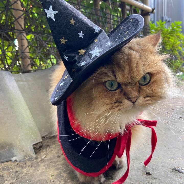 666d88d8 9729 4e78 967b 4478d982a270 1635637784382