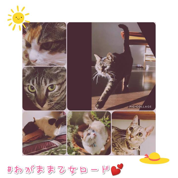 666da7e2 8631 4169 b47a 2c36b9e318d0 1567856493939