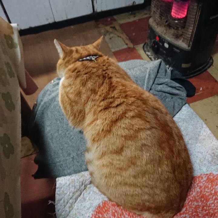 666dbfbc 36ad 4df1 a426 63b2242a6511 1574820825904