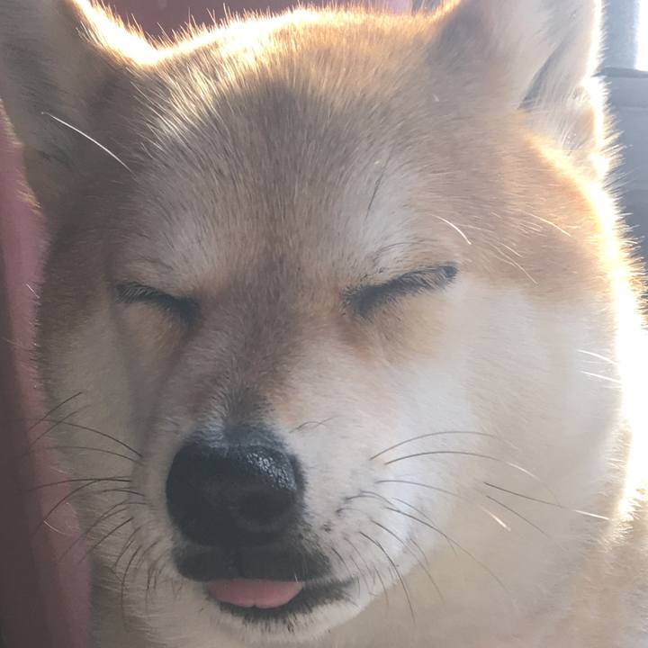 666dee71 0ab5 41a7 9258 f00207aed4b6 1575415556610