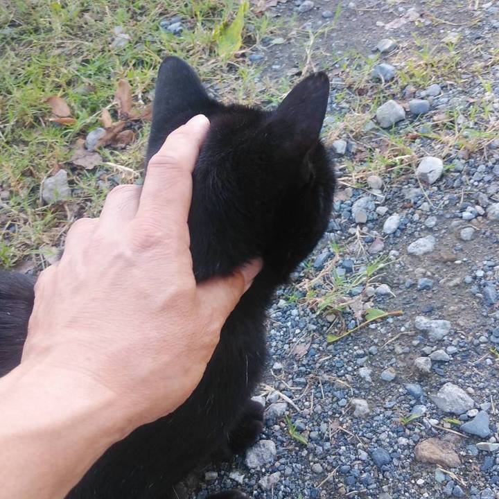 666e03a3 40e5 4a98 bdf6 3e794b62fc99 1570237882561