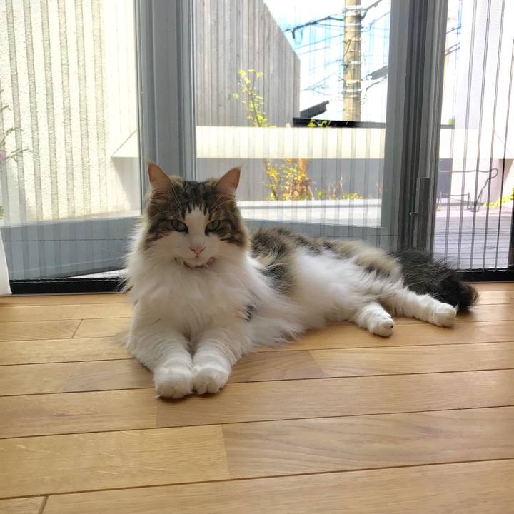 666e2e30 9c7f 4005 b409 3715f14a9901 1531452516223