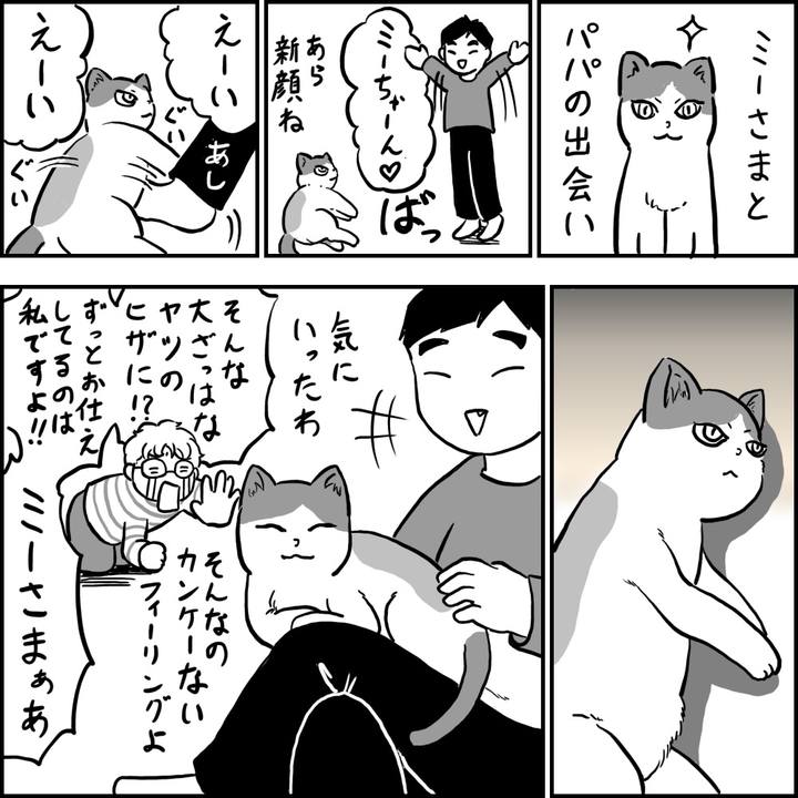 666e609a f0d2 473a 806e 6b58e51161ae 1742899896925