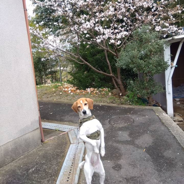 666e6877 366f 40a5 aec2 6d63b7f4468e 1679653290608