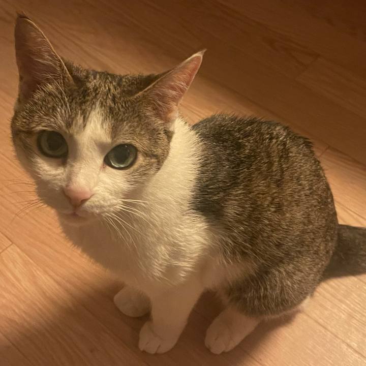 666e6b7a a11e 4629 8db2 f20cd70bb5a0 1624452396632