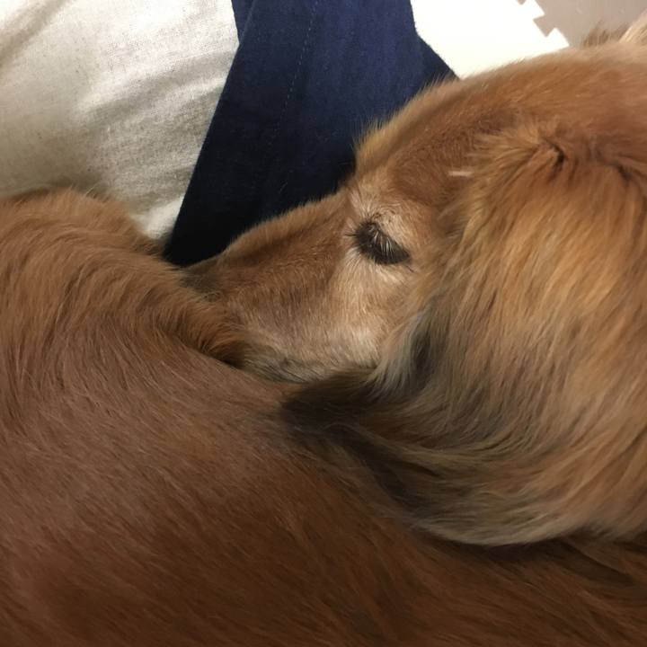 666e8180 2c05 4e86 97ad 75e5c5621ddc 1618317761190