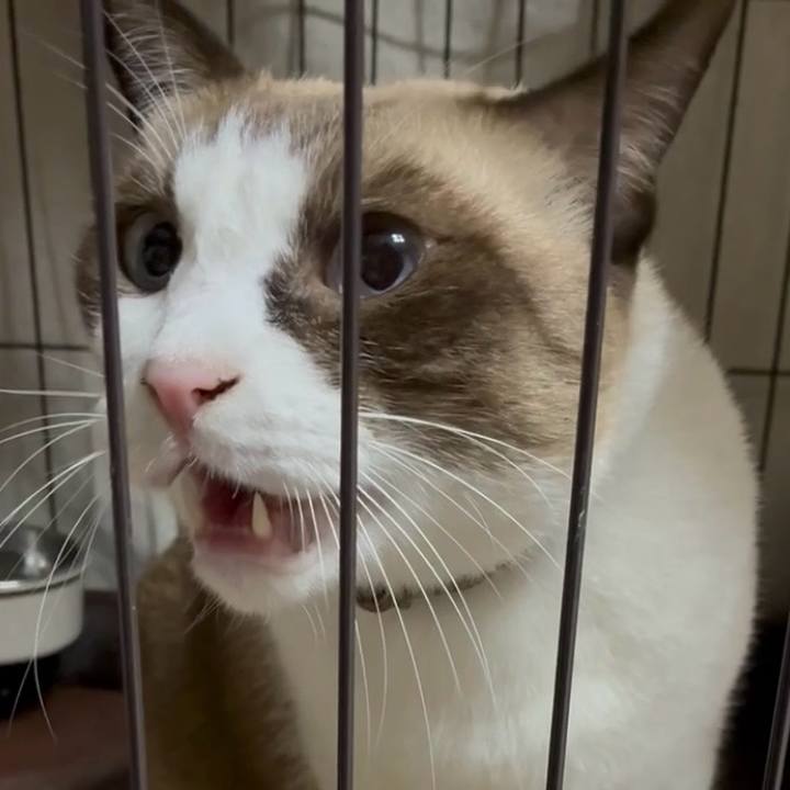 666e9745 049d 48b2 81e2 be5d6db49456 1761908542999