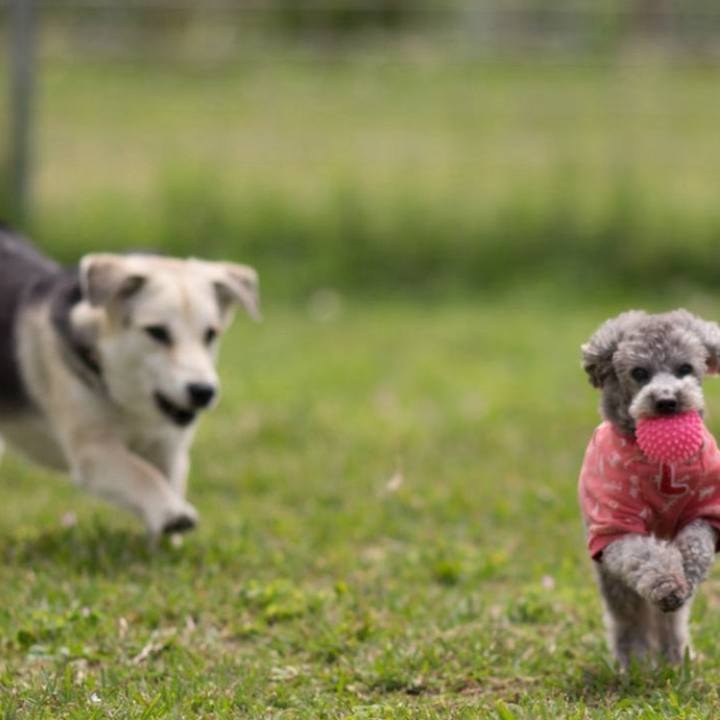 666e99fe f5be 4db7 b088 ad7ccb0f31a3 1721095199699