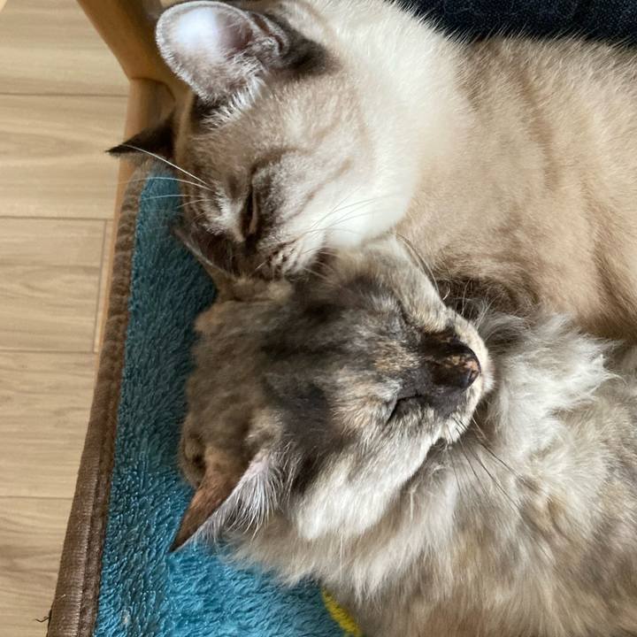 666eb2d2 f174 4354 b181 b6da6560ce37 1761443662041