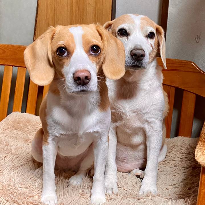 666ec9c1 0cb4 4f9f 9713 d3fa54c5dde7 1587457507420