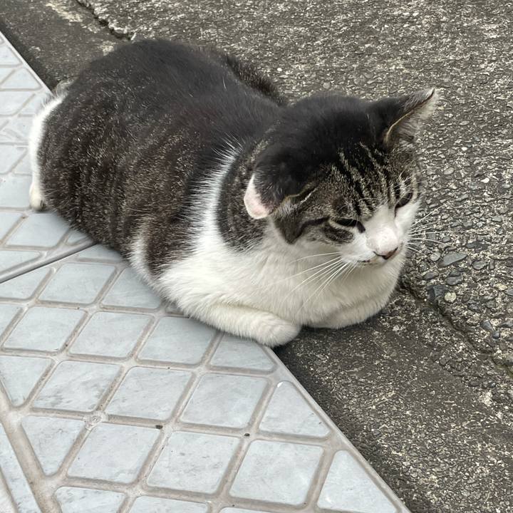 666edb2f fdff 49ed b4d5 9ceef70b1657 1624188601575