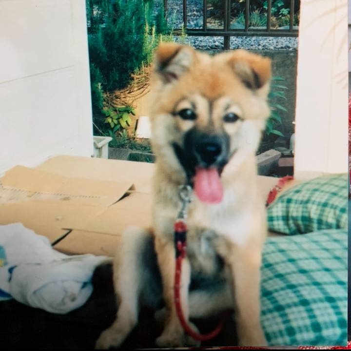 666ede96 3ef8 4649 a0be cdc314d7fe49 1606100638039