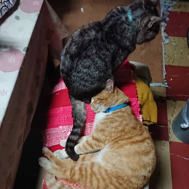 666f0082 027a 403f bf36 213c91950279 1555238736834