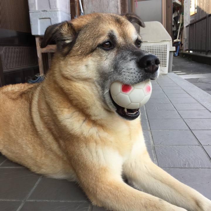 666fb2d4 5e23 4784 b88b 7baa88d3f478 1569579145455