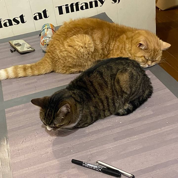 666fd11d d5e2 402b 8ec8 09ae363fdaaa 1654967520453