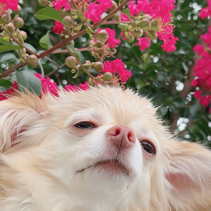 667008f6 797e 4fe9 aec8 cc89a95878ac 1720517245690