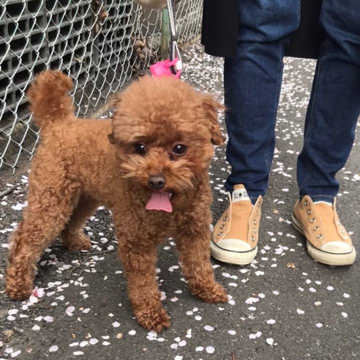 6670195c b983 4dd0 9b04 af061b85ec97 1585352830479