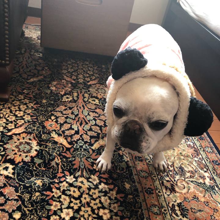 66701f84 fac0 4dae a2d1 682d9f125072 1675345577665