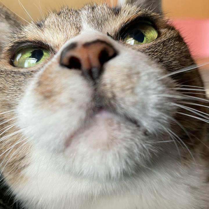 66702f89 0f91 49aa a473 4ac5c1ed8a99 1648259420961