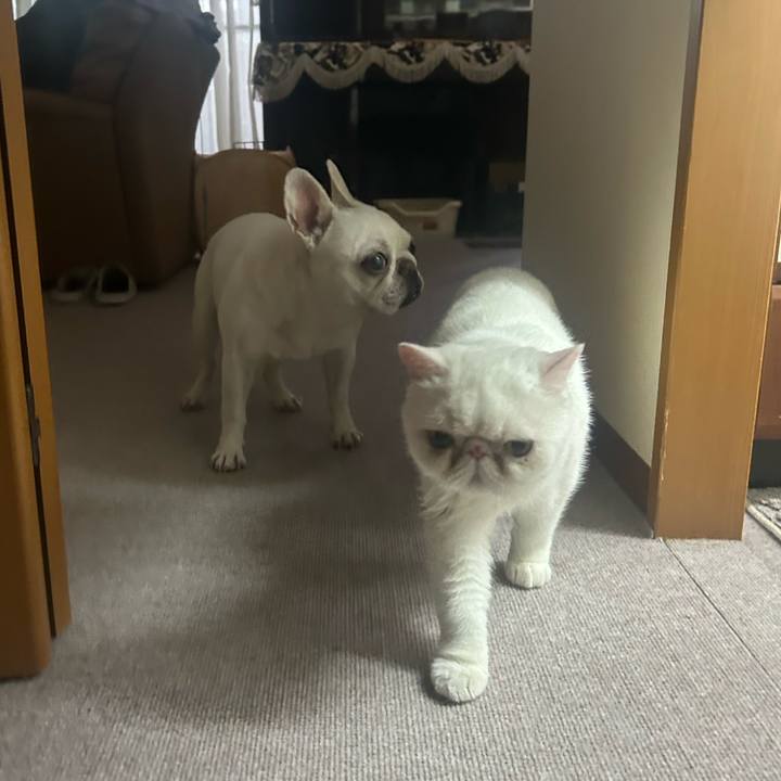 6670401d 5332 4243 87f9 8b5afec7e080 1752794866237