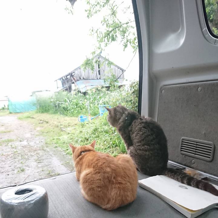 66705126 da4c 464f aef5 93ff0e06d10a 1595756263949