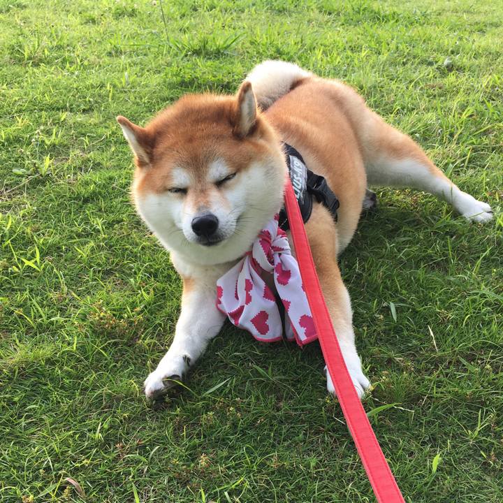 66705483 d1d0 4f1c aec0 8b3c31a3b4a9 1595232434452