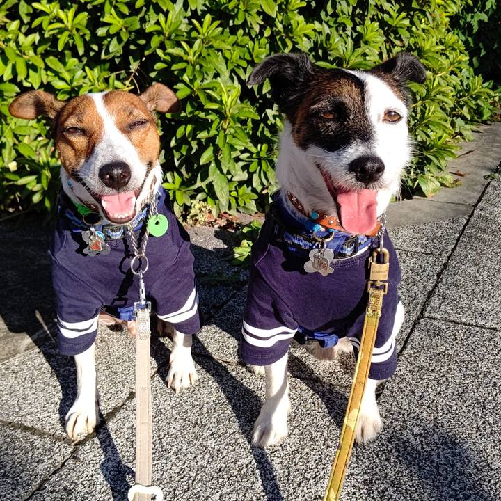 6670aa05 267f 4ca0 8de3 522095d70858 1628113412883