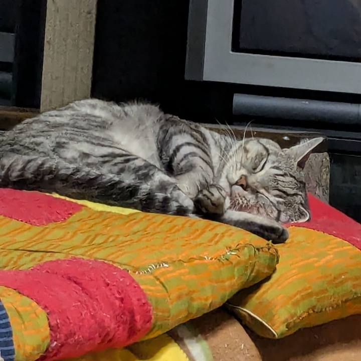 6670ad7d 9ec5 4563 bbe8 9d2c5556f1e1 1734262630010