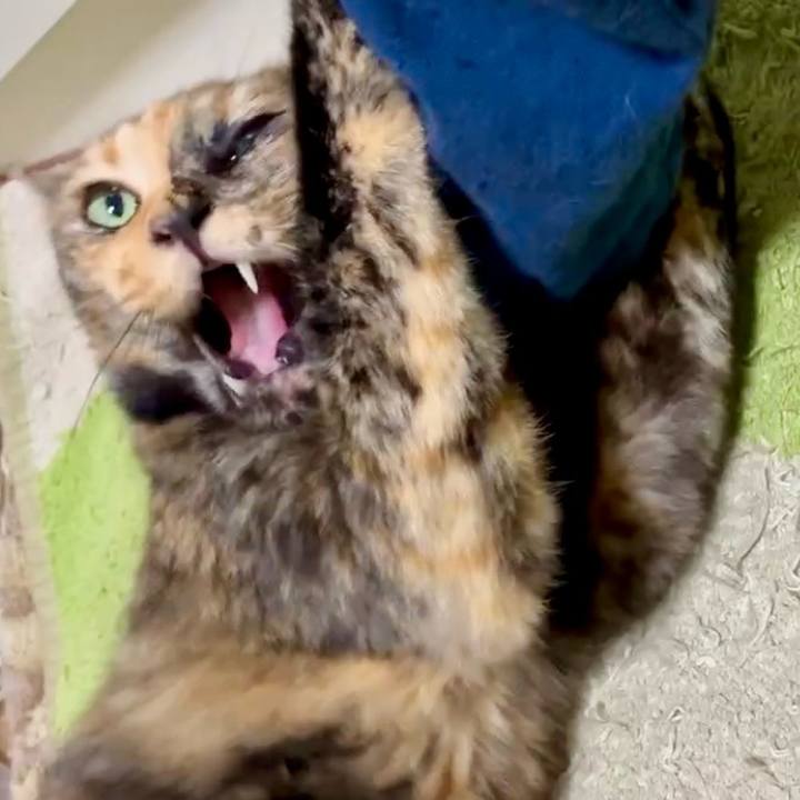 6670b333 0d17 4808 a279 f1ff3dd65daa 1750709348702