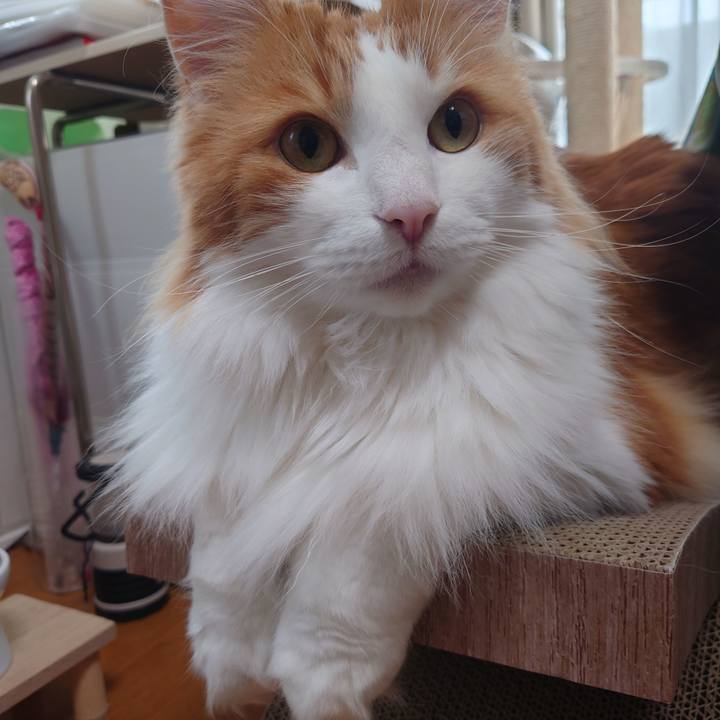 6670cf70 58a2 4918 82e8 7f83b904b28c 1623033483710