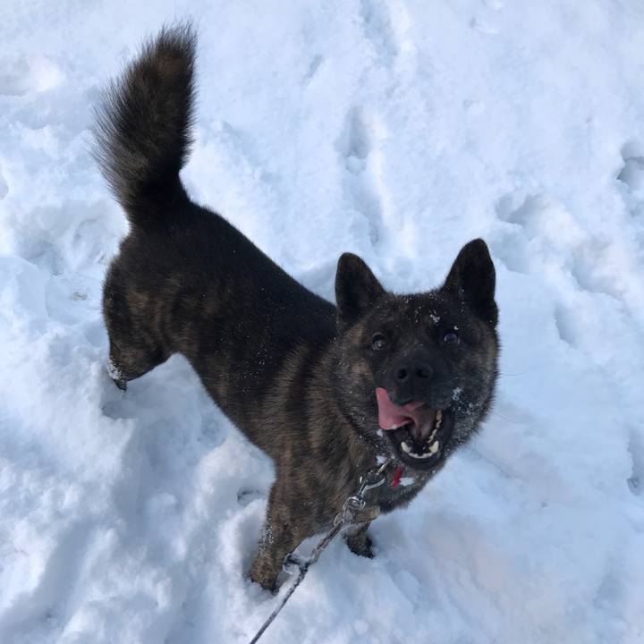 6670eb94 7f37 486c 92bf 3a29cb0e9eaa 1515725258671