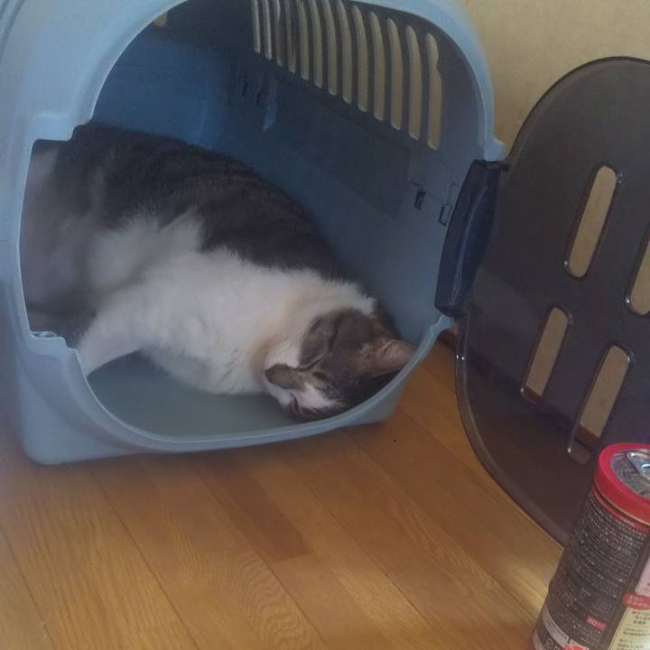 6670f432 b308 44ae 891a b330be6ec0eb 1753665996694