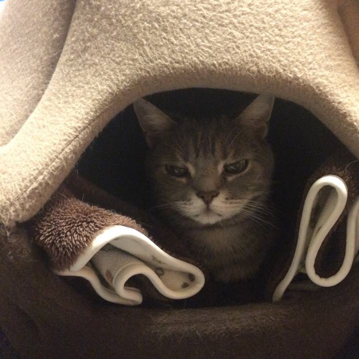 66712f84 980a 464b a004 c1c0d236f8b3 1511516351885