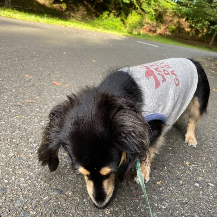 66714f2f 0540 41ca beb9 a7737b750a33 1693440965987