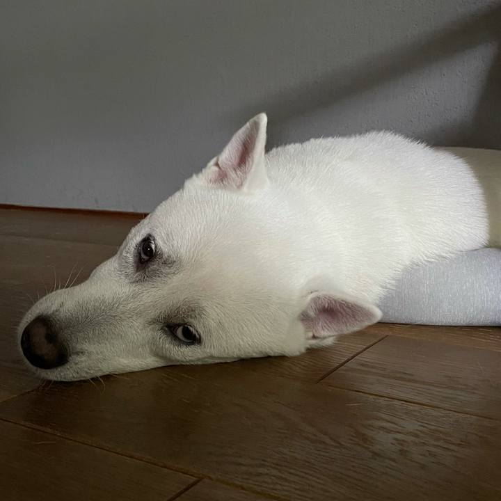 667157e2 ae4c 4d7e 984a 94e1ea93958d 1631873596759