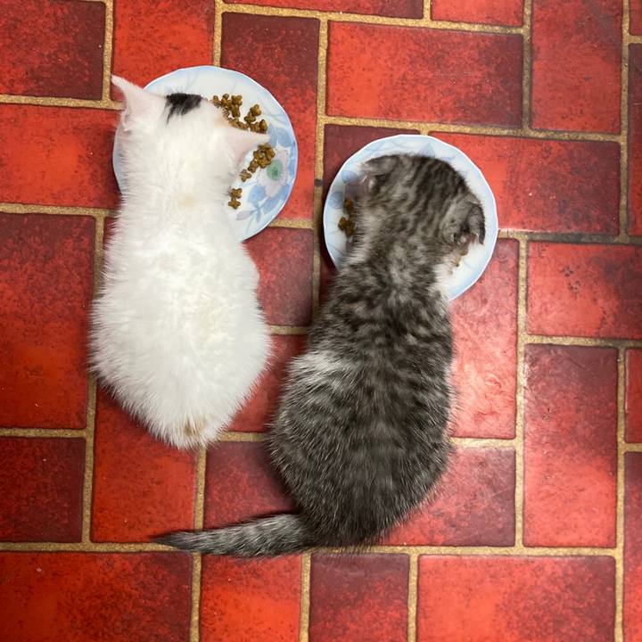 6671653d e175 44e9 a7c5 61916239843e 1619009907717