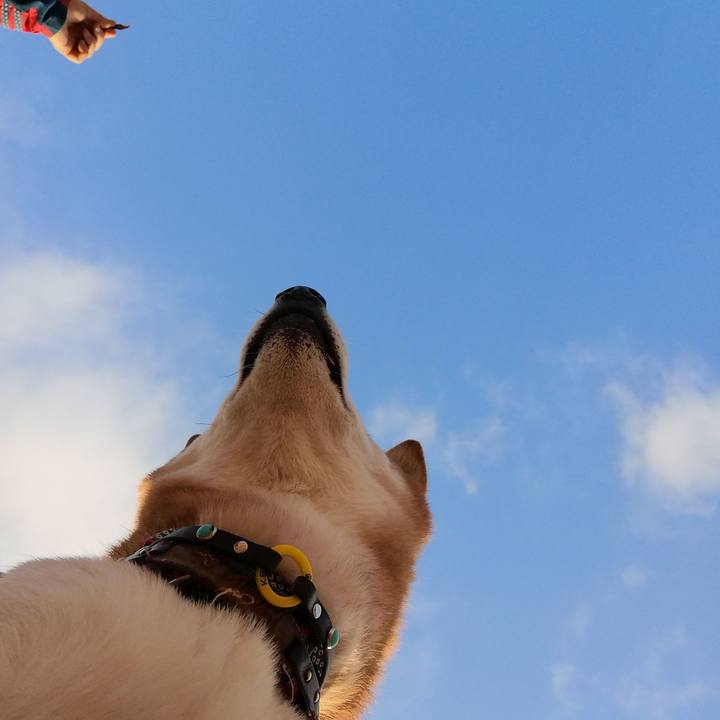 66717389 c302 4547 8963 b2ad33732ba8 1643189607856