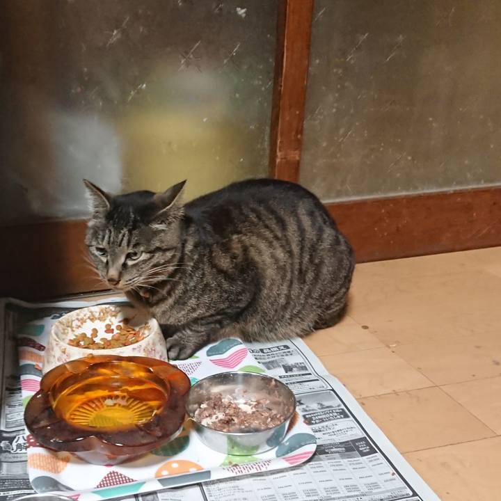 66717640 21f7 47b6 ae8c 48e2c7070e83 1651573564805