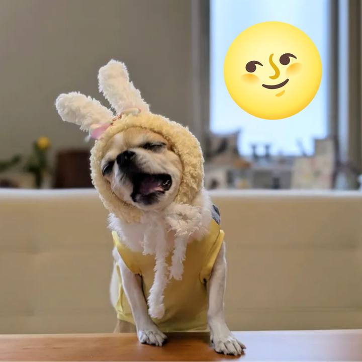 66718790 32d4 4248 8df1 a72b23a24be1 1759735434643