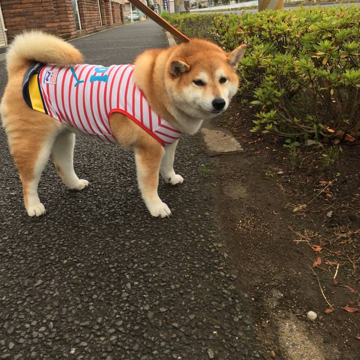 6671917b 77c1 4fac 96b0 39c007a3acf0 1566427346691