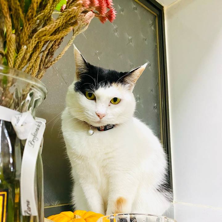 6671bf4a de21 41a3 8995 74aac74e2ca2 1676894981739