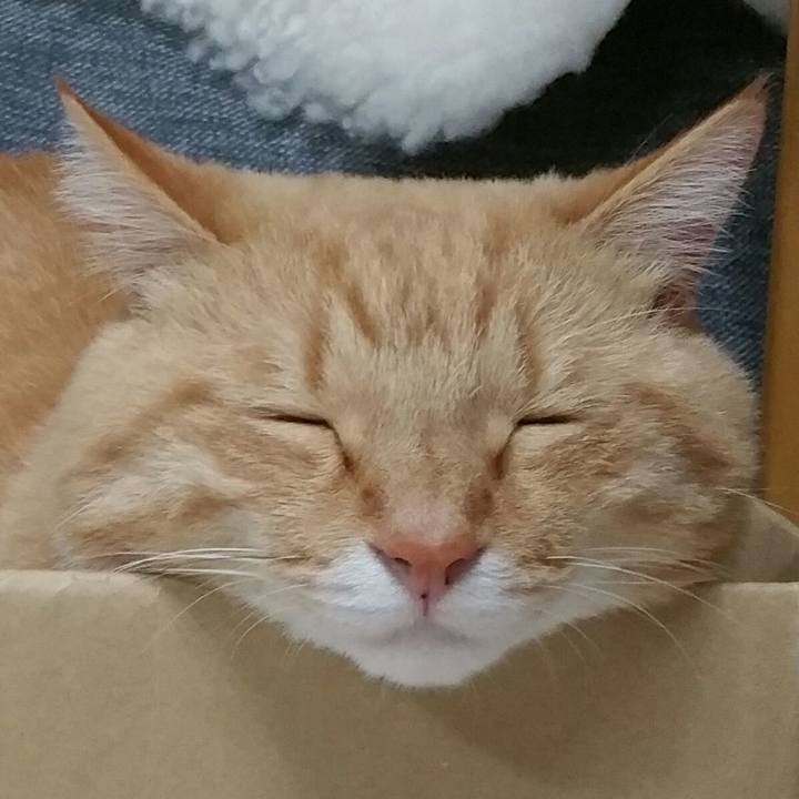 6671c3d7 6e29 45f6 b8d7 7cc9ca8ce4f4 1542463990754