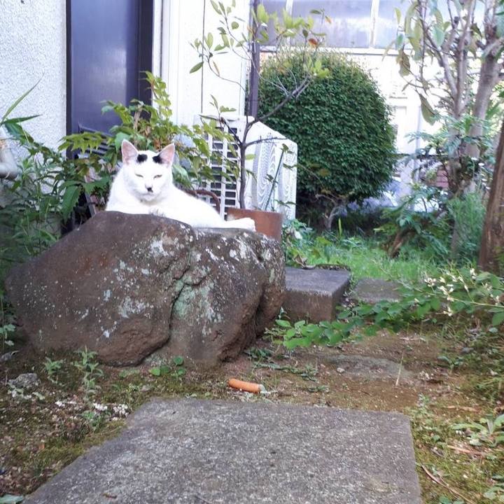 6671e5b5 db83 45c6 ab1e 1f37c420e4d8 1656655275327