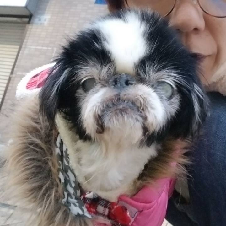 66724629 9a26 4a0a 9623 b0003065744b 1634907679393